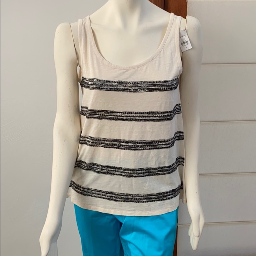 Ann Taylor Loft